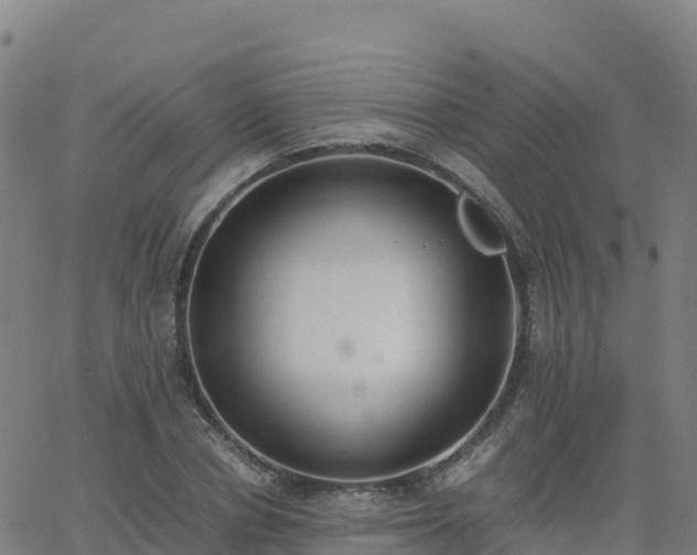 X0000062670834200512230944