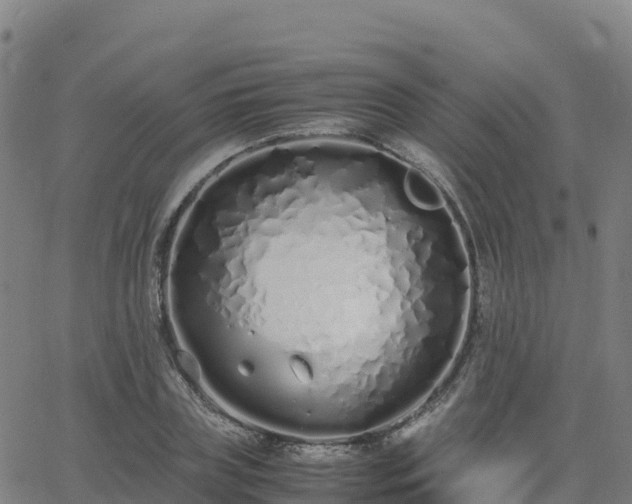 X0000062670835200512230944