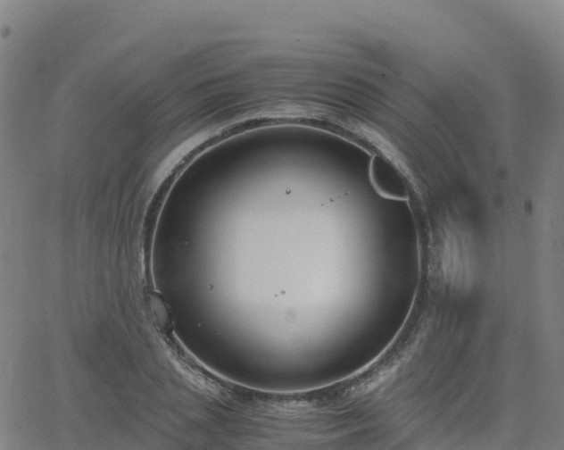 X0000062670837200512230945