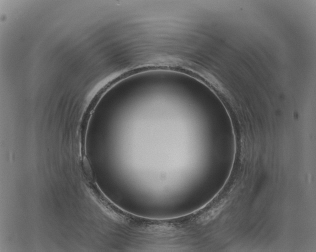 X0000062670838200512230945