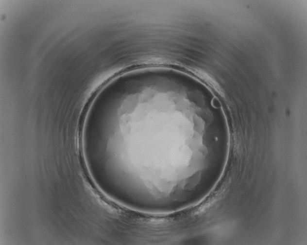 X0000062670839200512230945