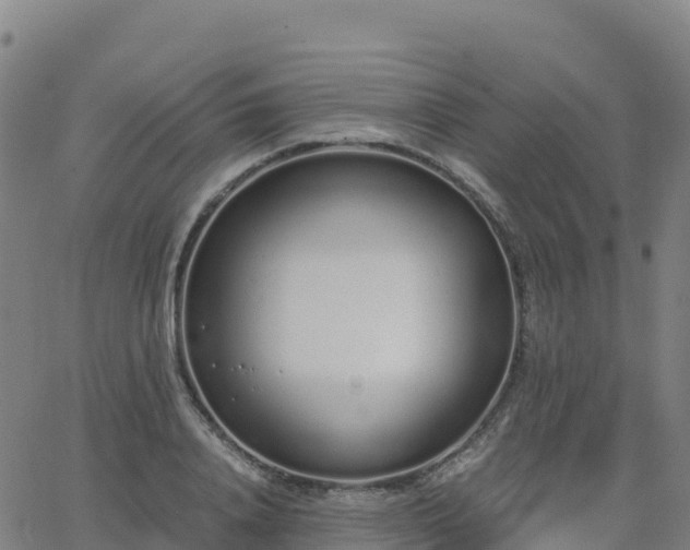 X0000062670840200512230945