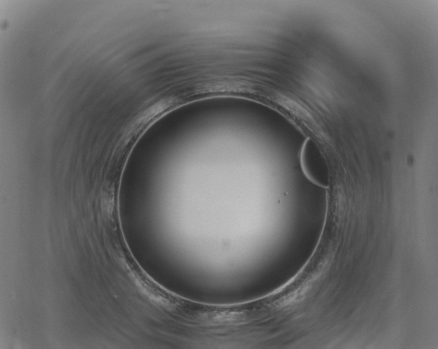 X0000062670841200512230945