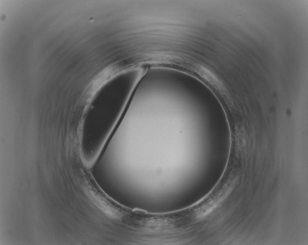 X0000062670842200512230945