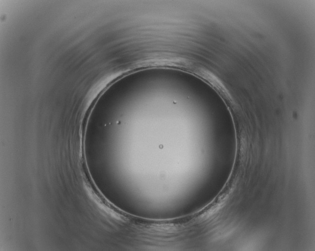 X0000062670844200512230945