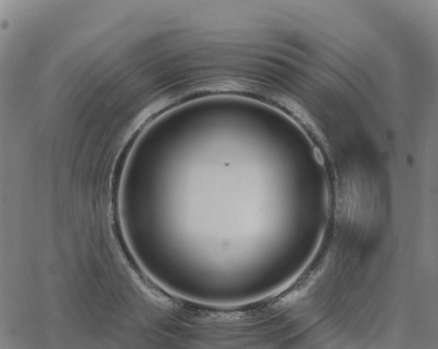 X0000062670845200512230945