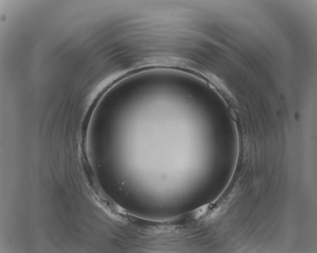 X0000062670846200512230945