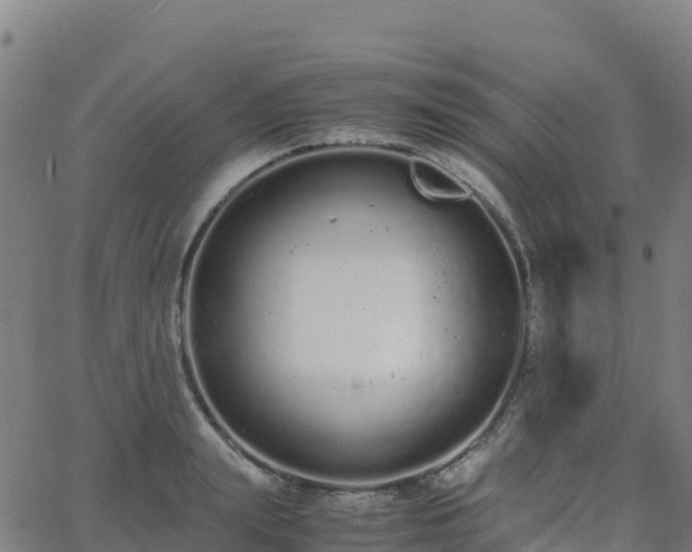 X0000062670847200512230945