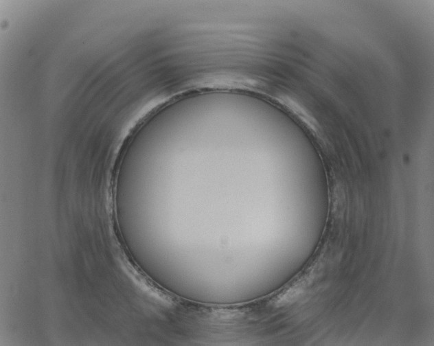 X0000062670848200512230945