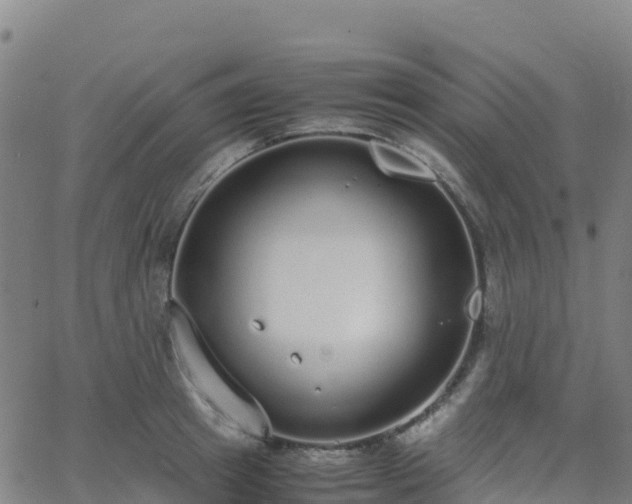 X0000062670849200512230945