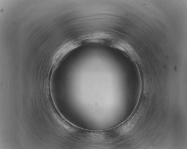 X0000062670850200512230945