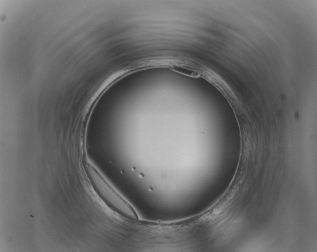 X0000062670852200512230945