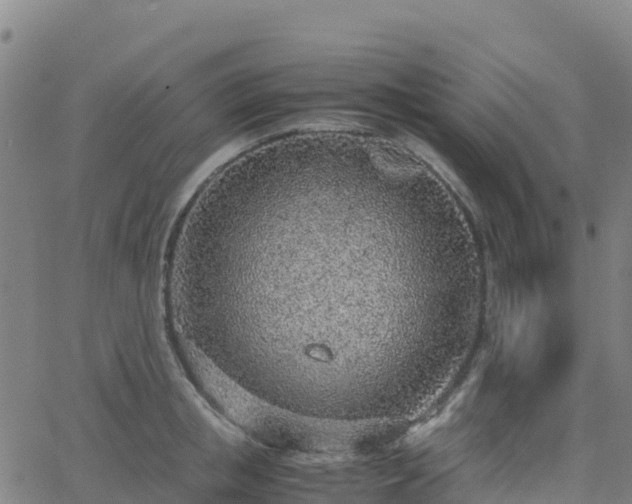 X0000062670853200512230945