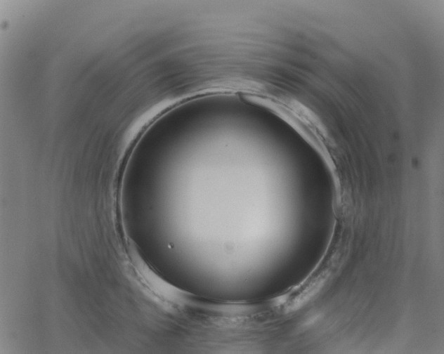 X0000062670854200512230945