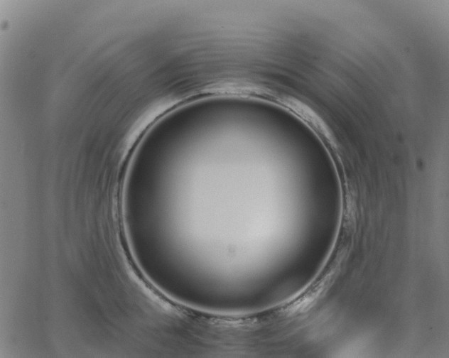 X0000062670855200512230945