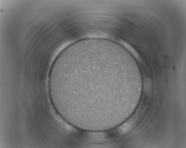 X0000062670856200512230945