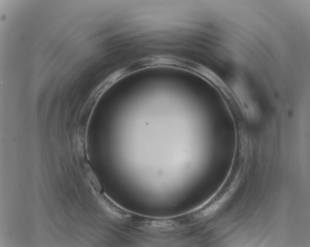 X0000062670857200512230945