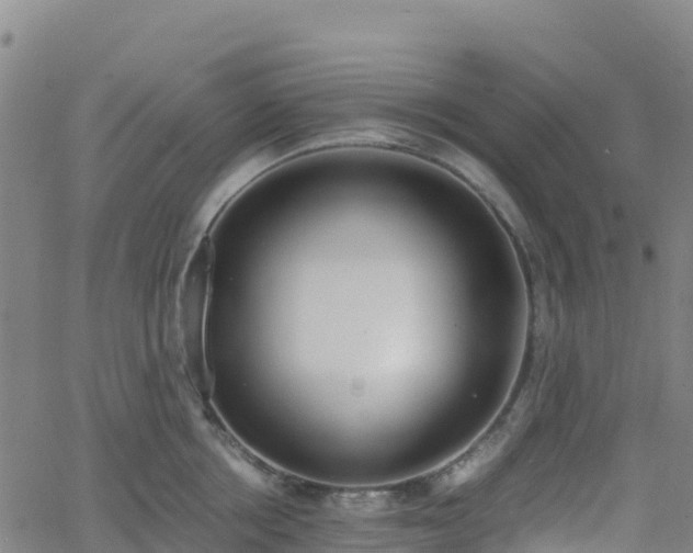 X0000062670858200512230945