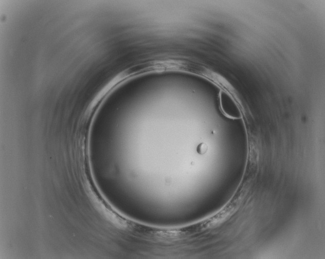 X0000062670859200512230945