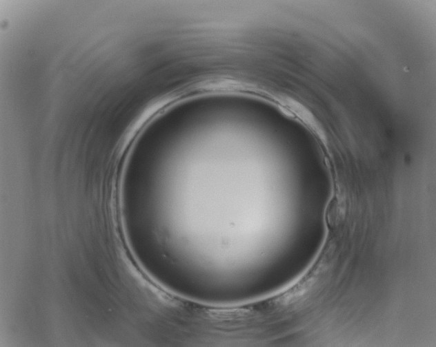 X0000062670863200512230945