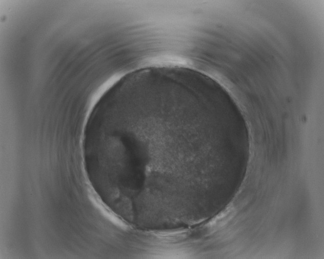 X0000062670864200512230945