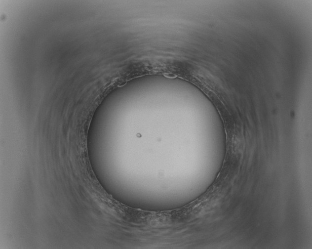 X0000062670865200512230944