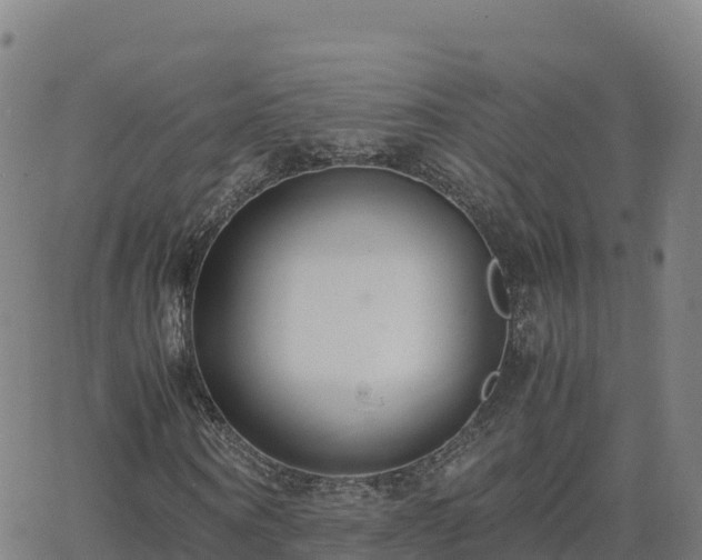 X0000062670866200512230944