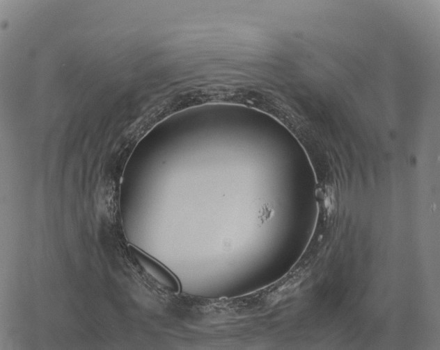 X0000062670867200512230944