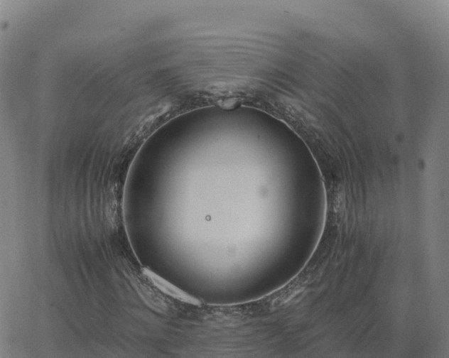 X0000062670868200512230944