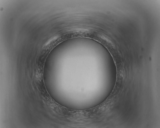 X0000062670869200512230944