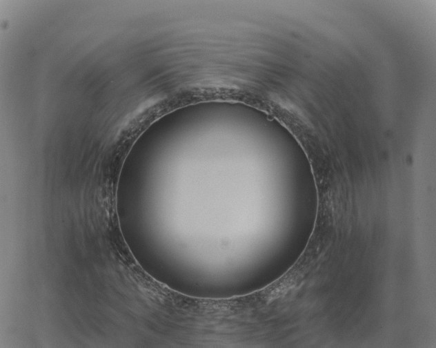 X0000062670870200512230944