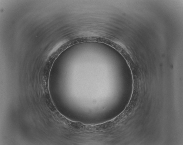 X0000062670871200512230944