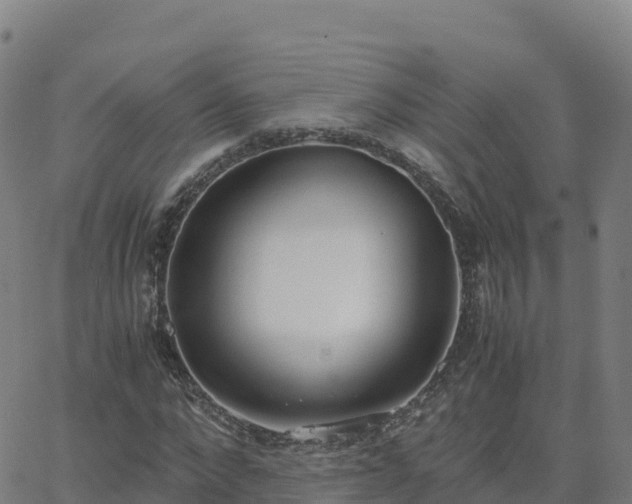 X0000062670872200512230944