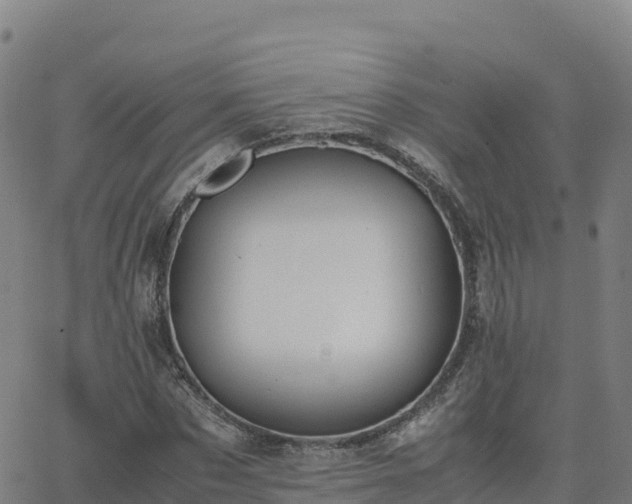 X0000062670873200512230944