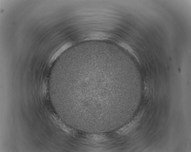 X0000062670874200512230944