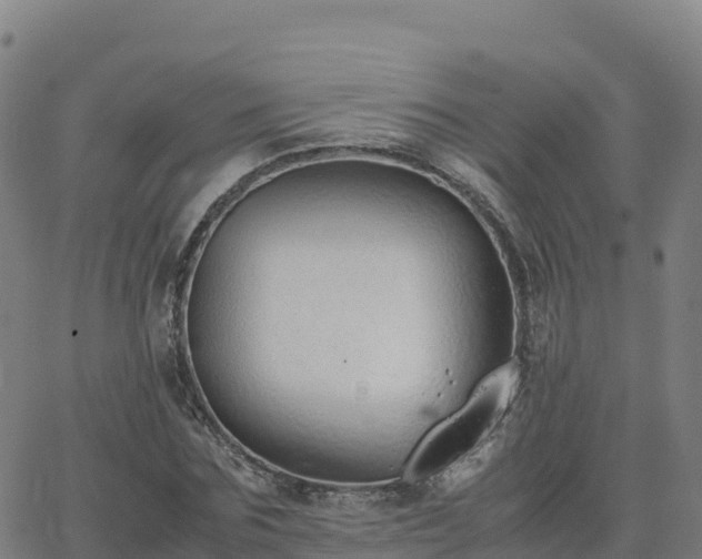 X0000062670875200512230944