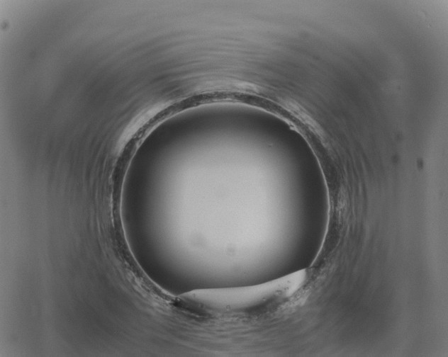 X0000062670877200512230944