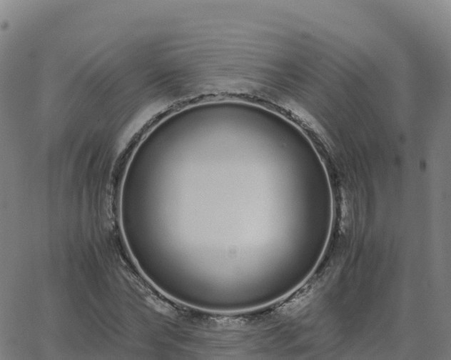 X0000062670878200512230944