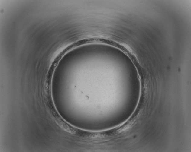 X0000062670879200512230944