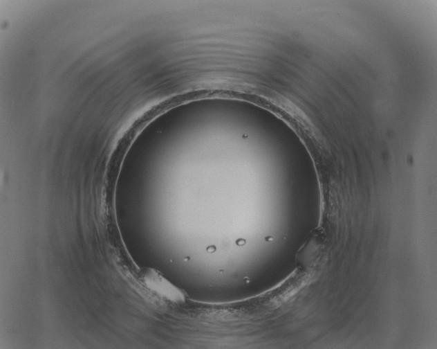 X0000062670880200512230944