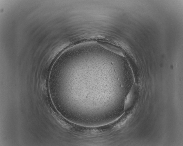 X0000062670881200512230944