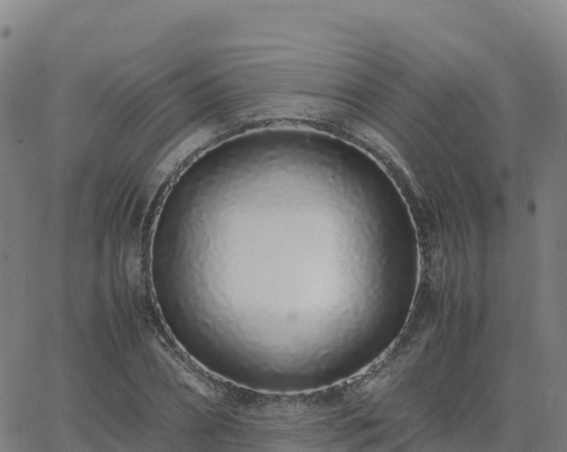 X0000062670882200512230944