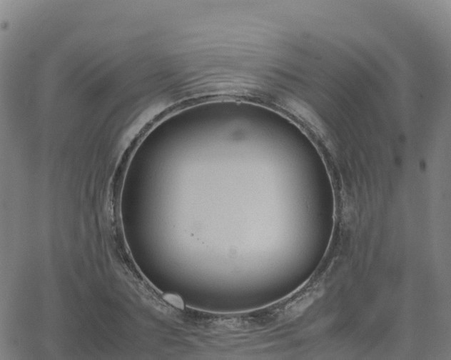 X0000062670883200512230944