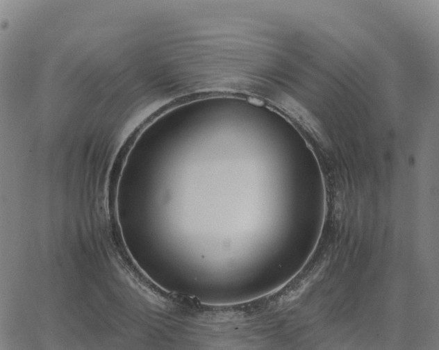 X0000062670884200512230944