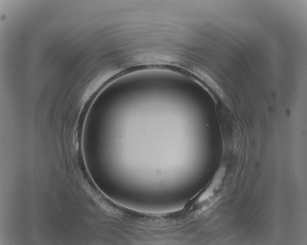 X0000062670885200512230944