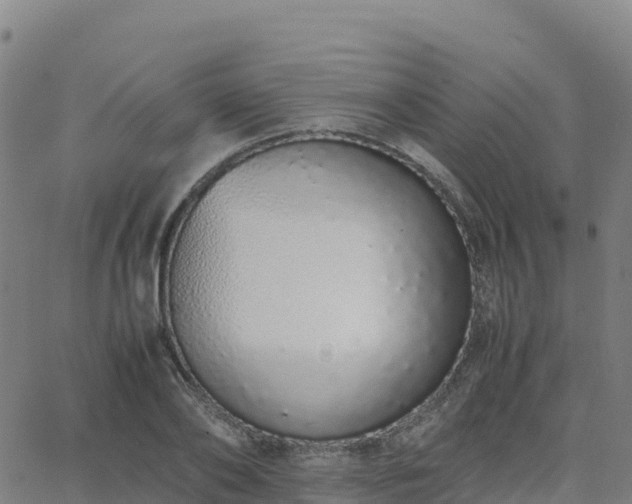 X0000062670886200512230944