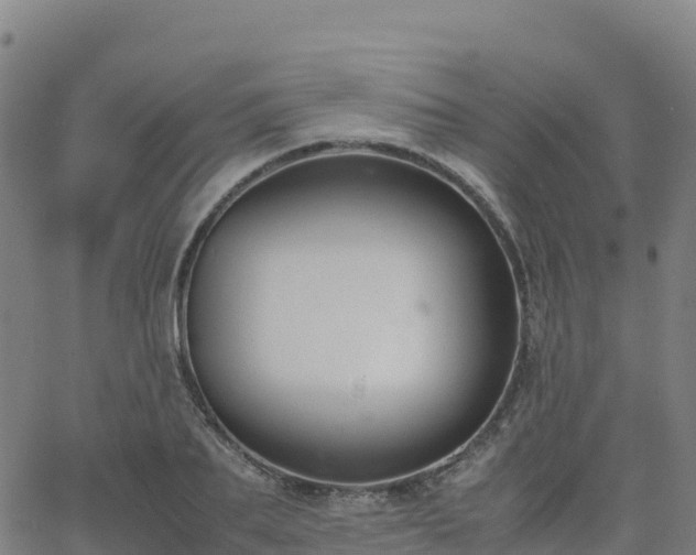 X0000062670887200512230944