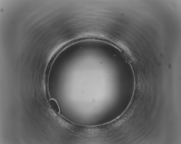 X0000062670888200512230944