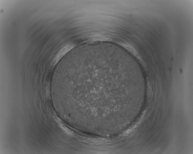 X0000062670889200512230944