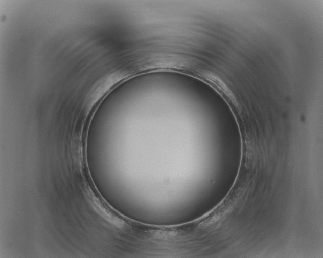 X0000062670890200512230944